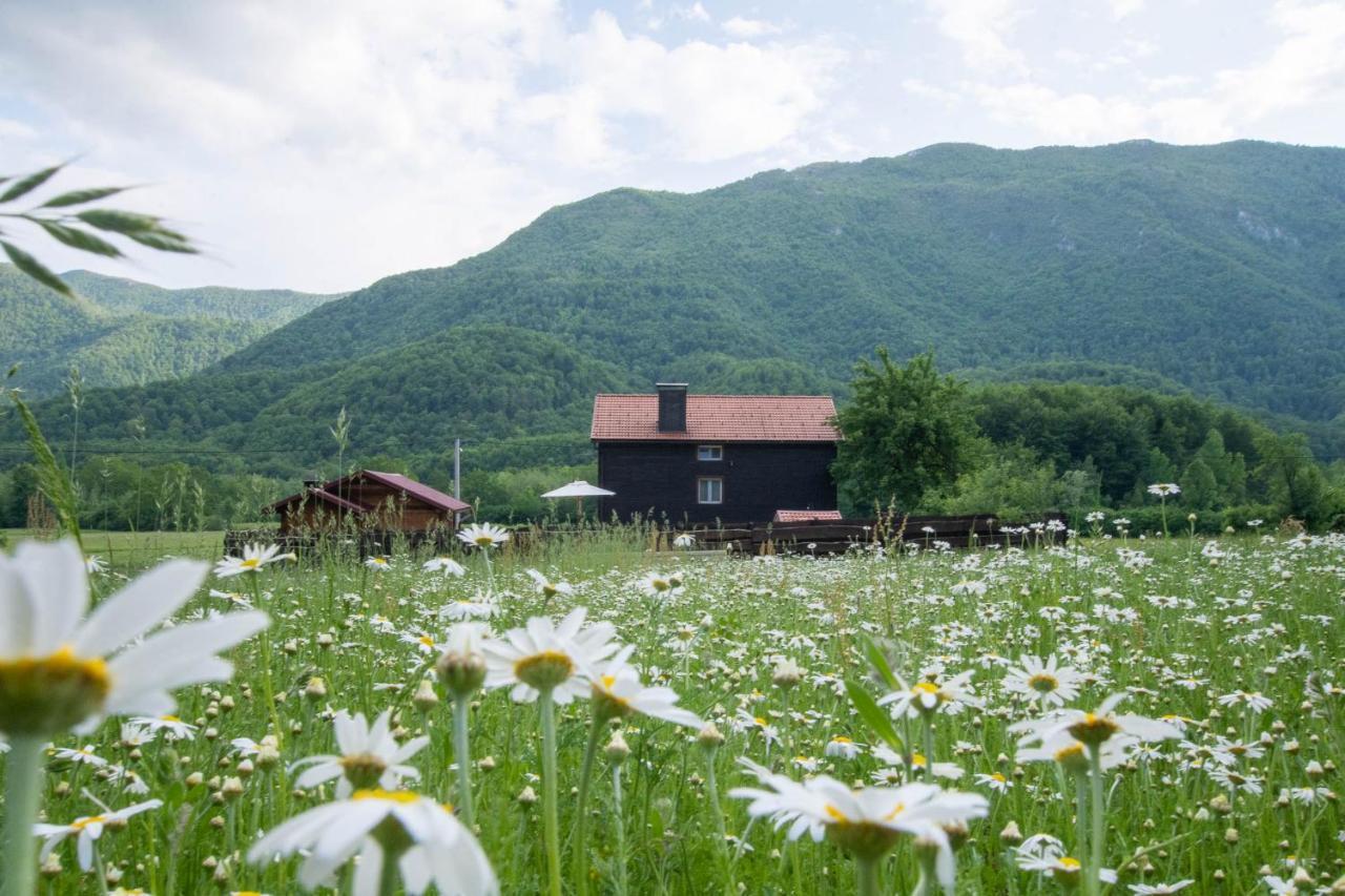 Nina Holiday Home With A Heated Pool Brusane Kültér fotó